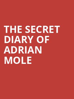 The Secret Diary of Adrian Mole at Ambassadors Theatre